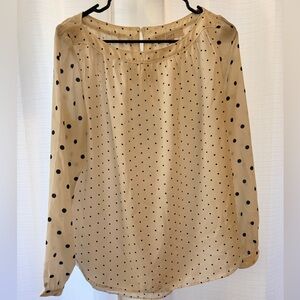 Women’s Medium Loft Cream Polka Dot Top